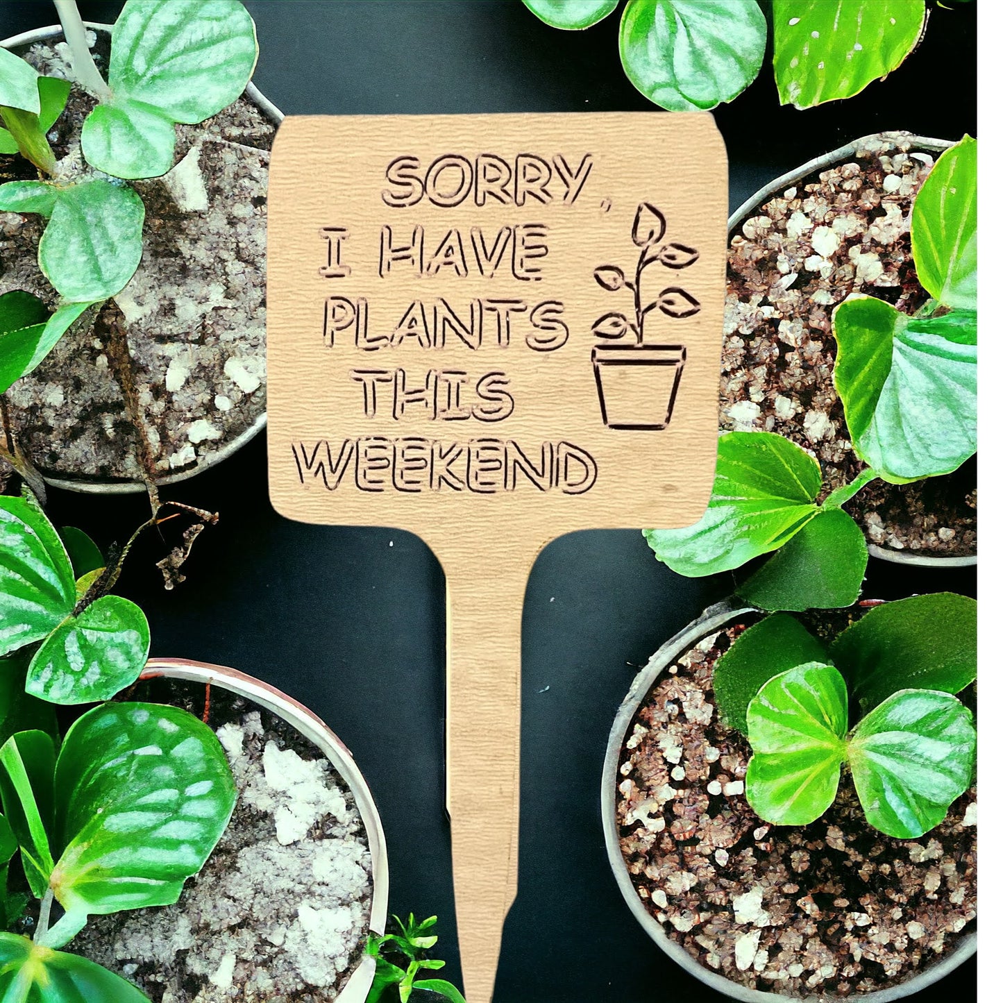 Plant Sticks