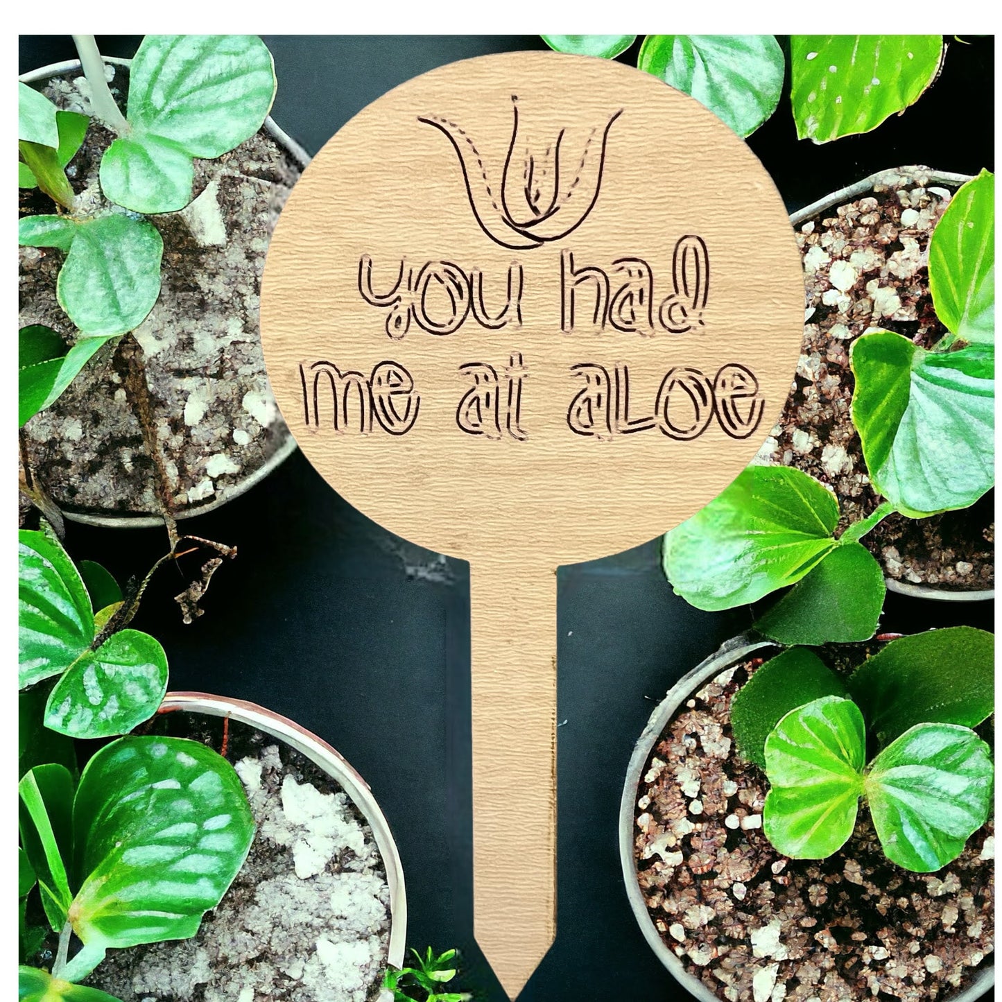 Plant Sticks