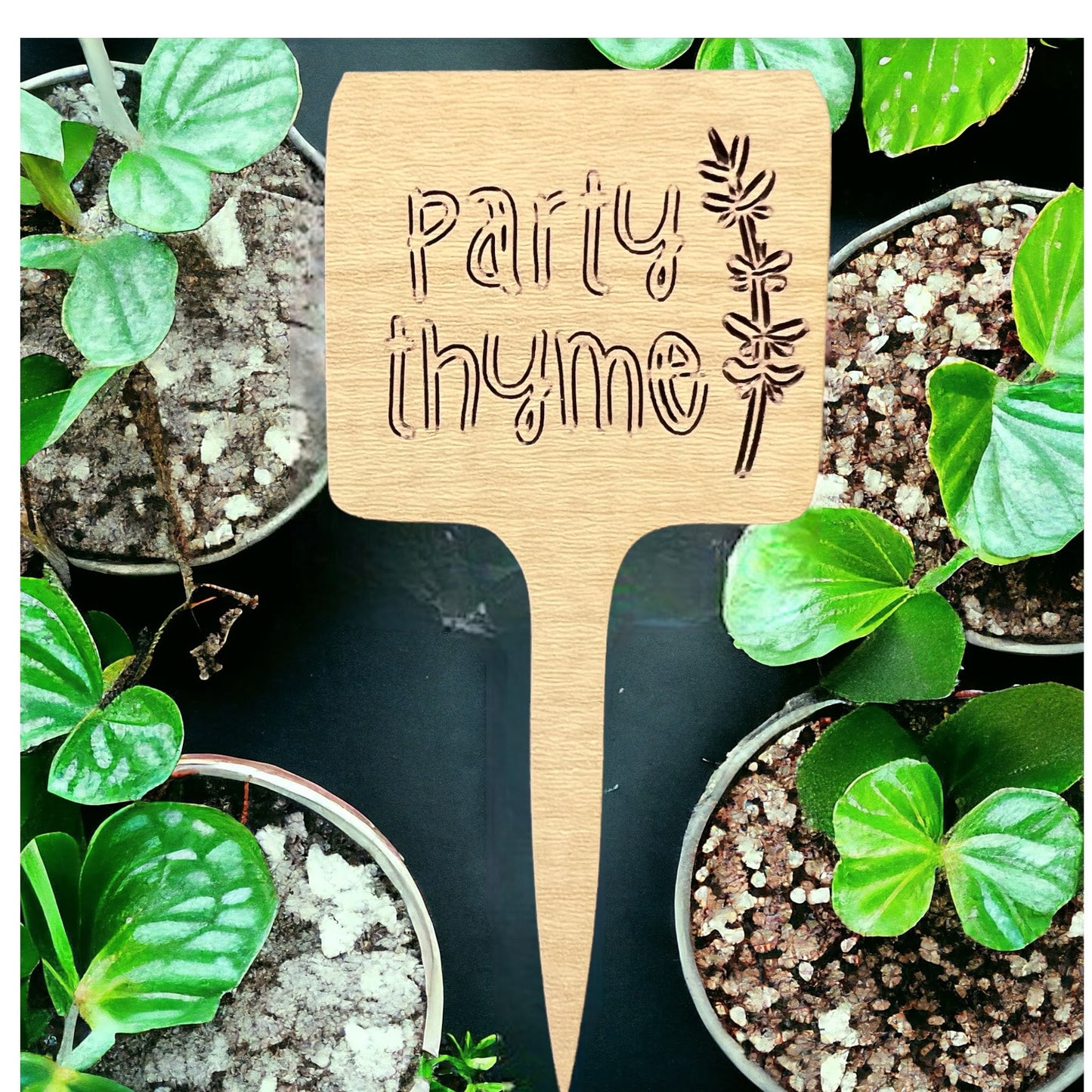 Plant Sticks