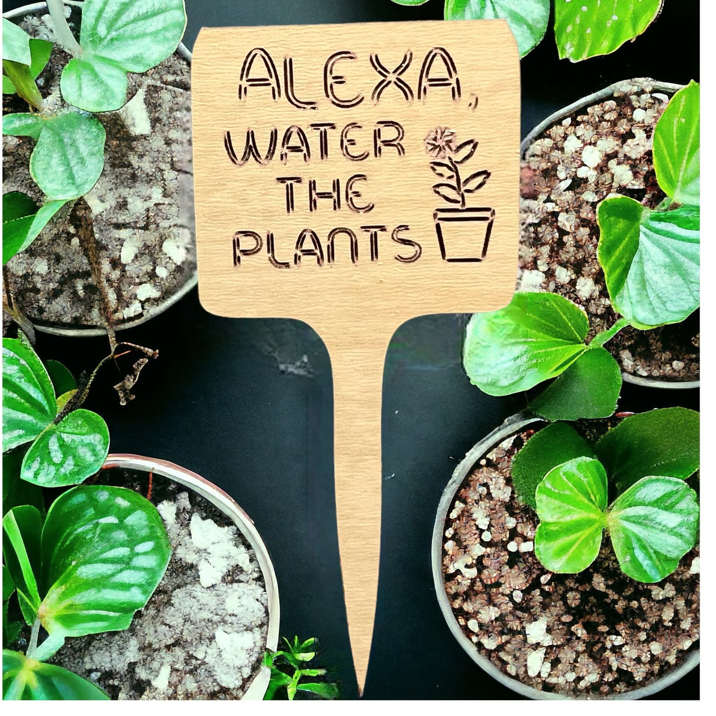 Plant Sticks
