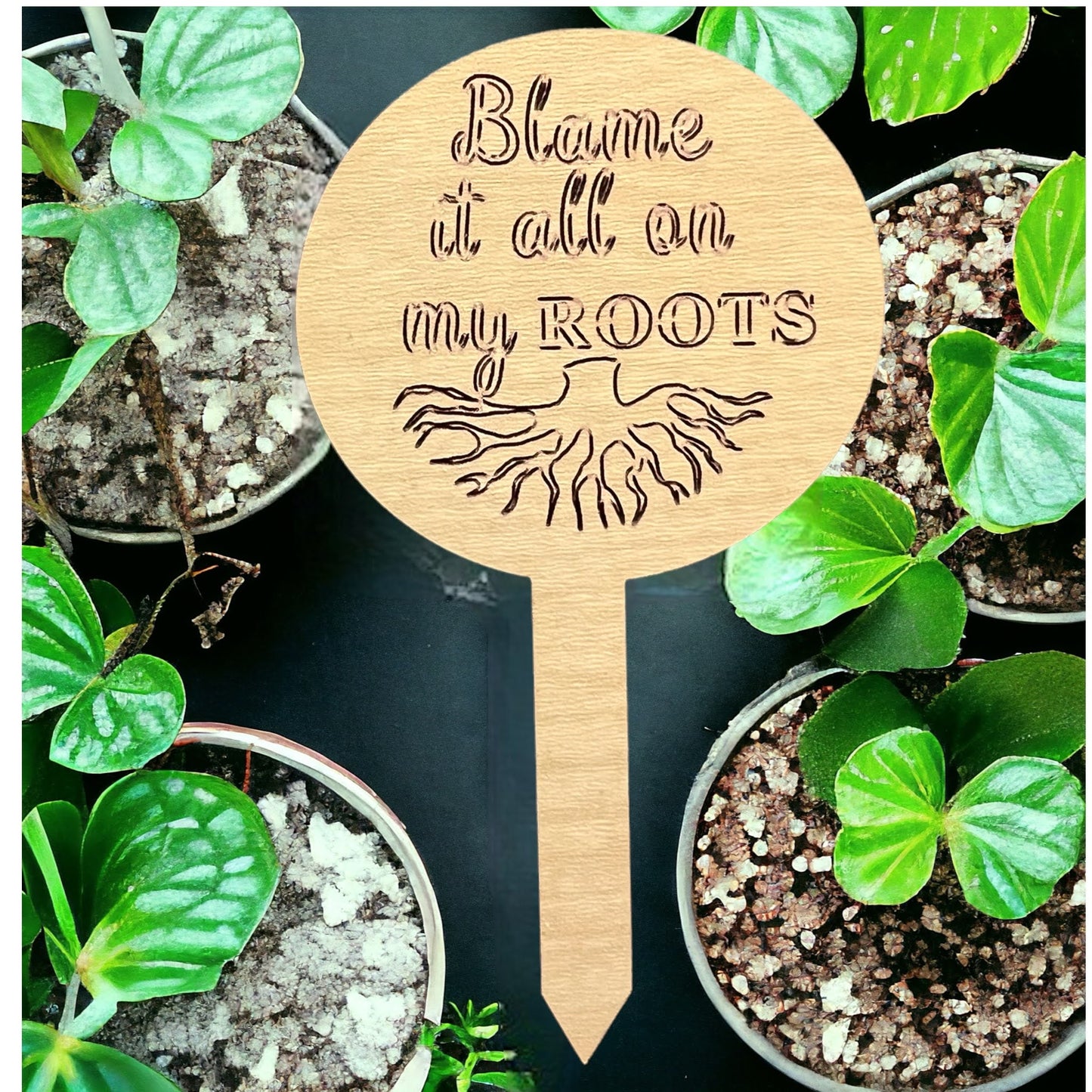 Plant Sticks