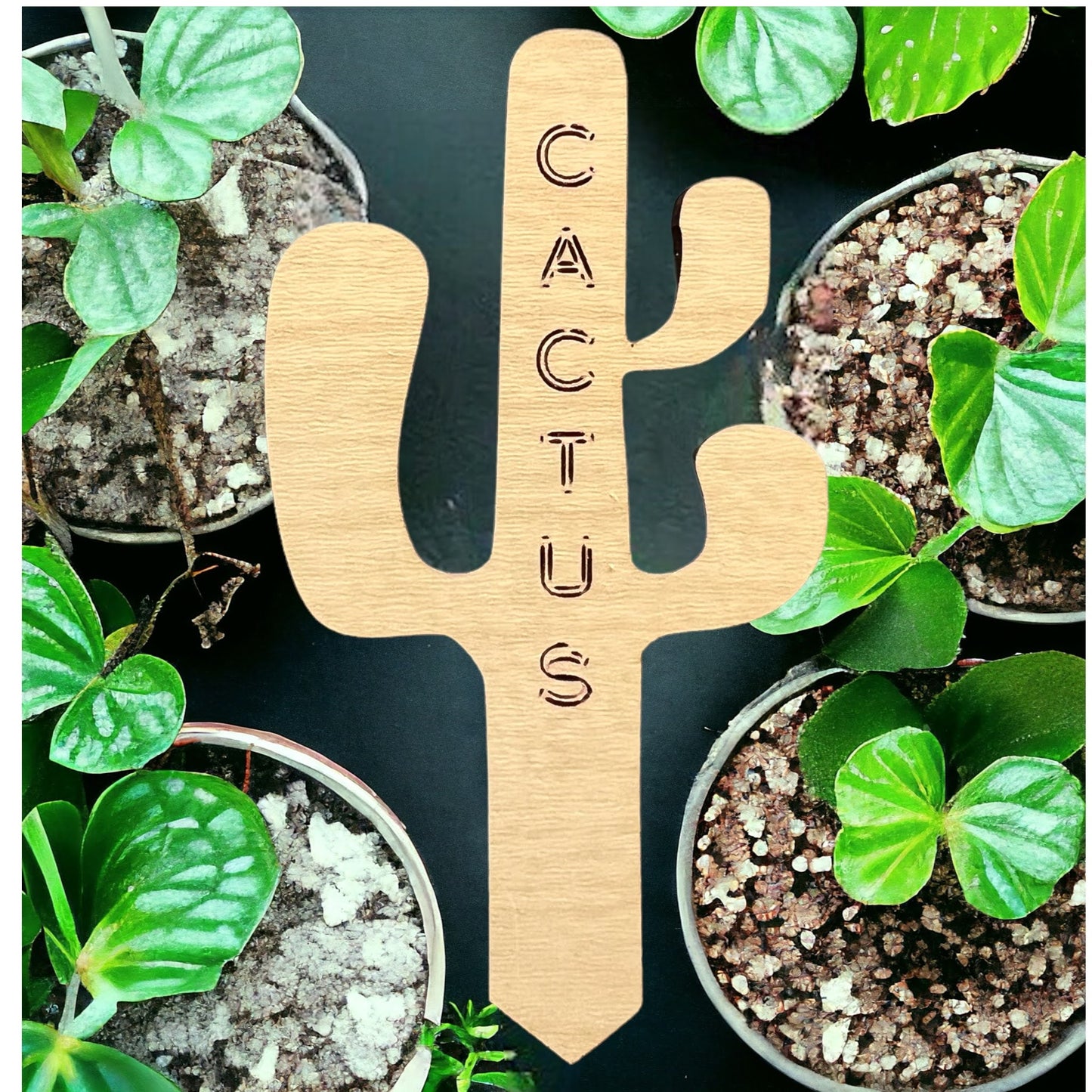 Plant Sticks