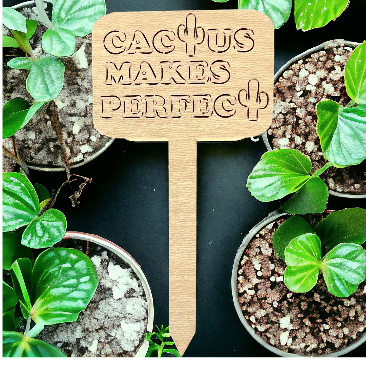 Plant Sticks