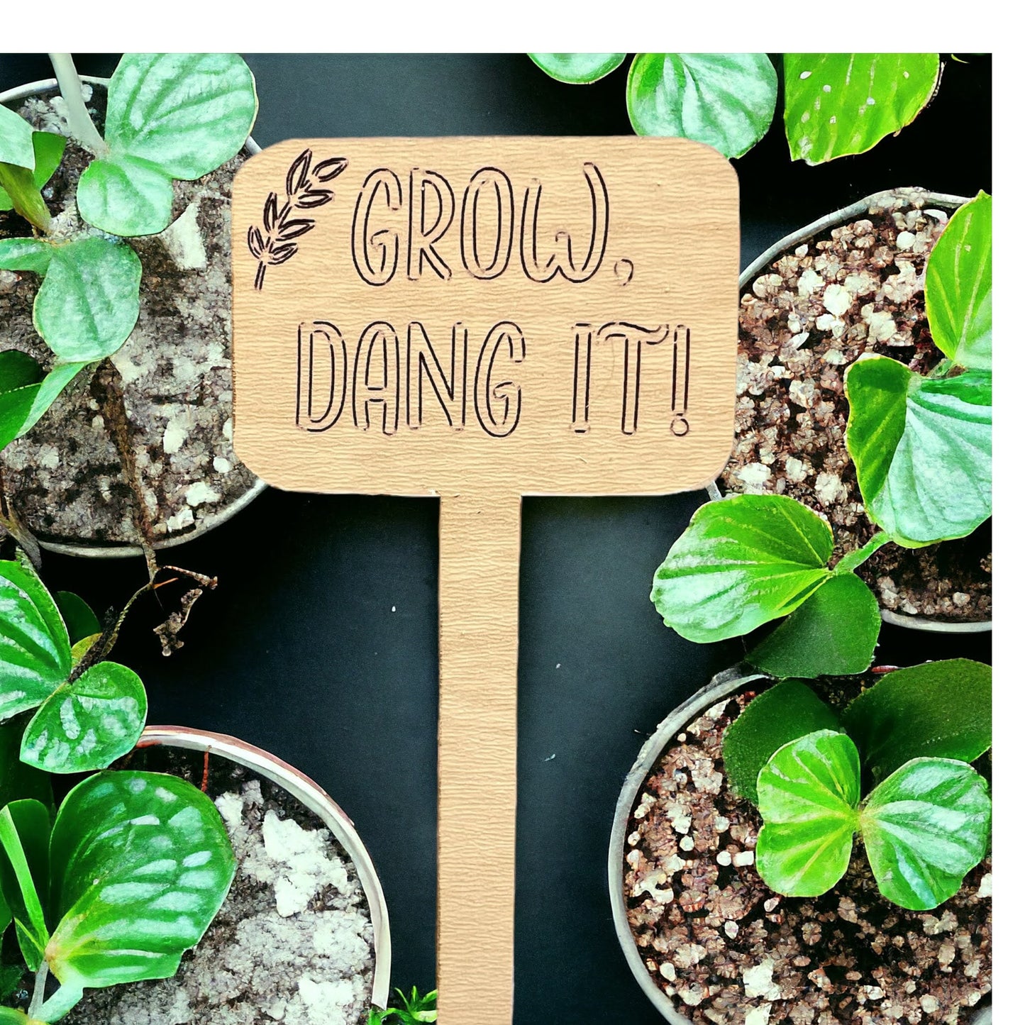 Plant Sticks