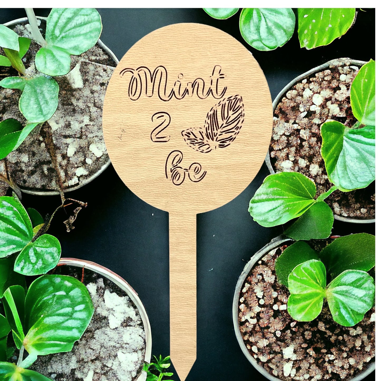 Plant Sticks