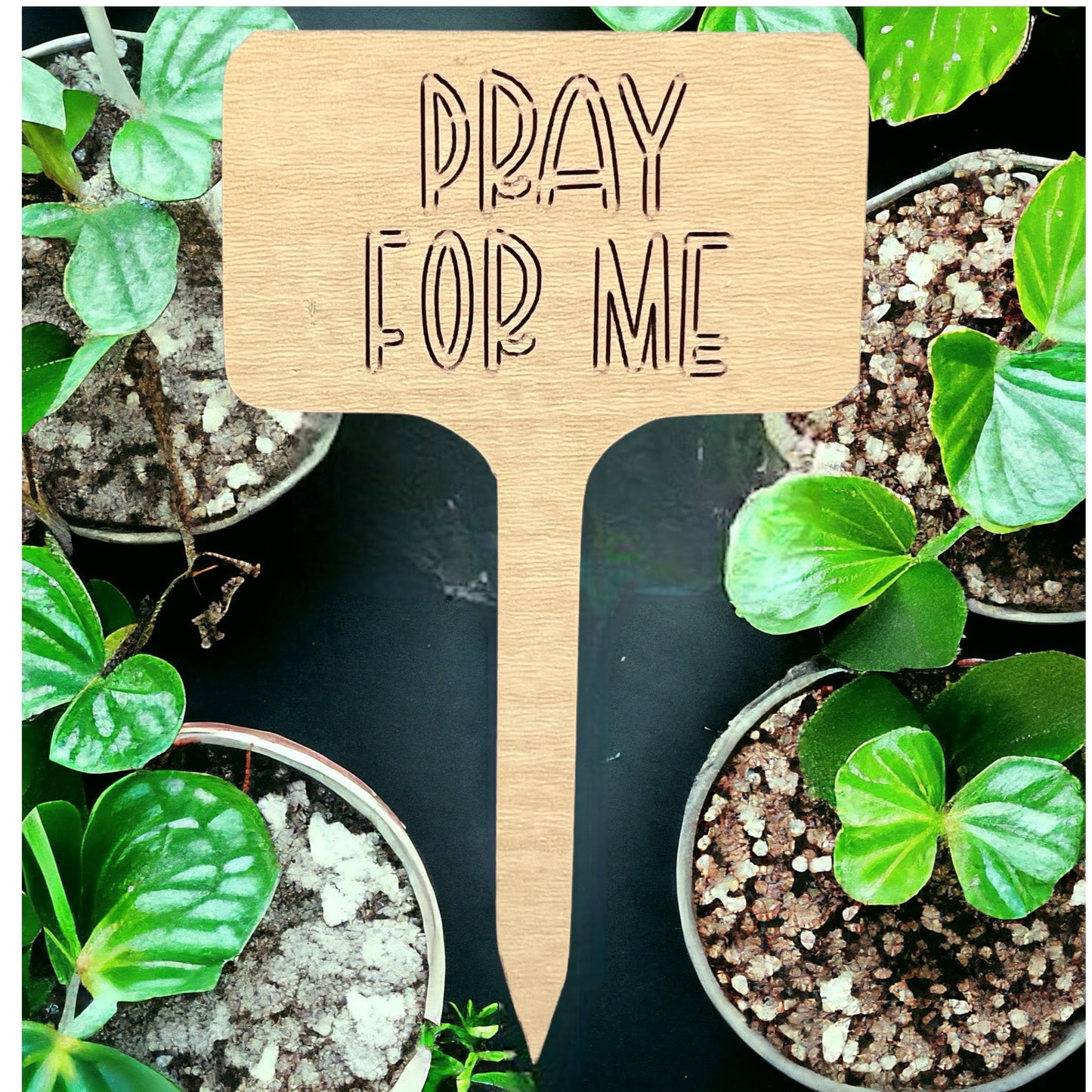 Plant Sticks