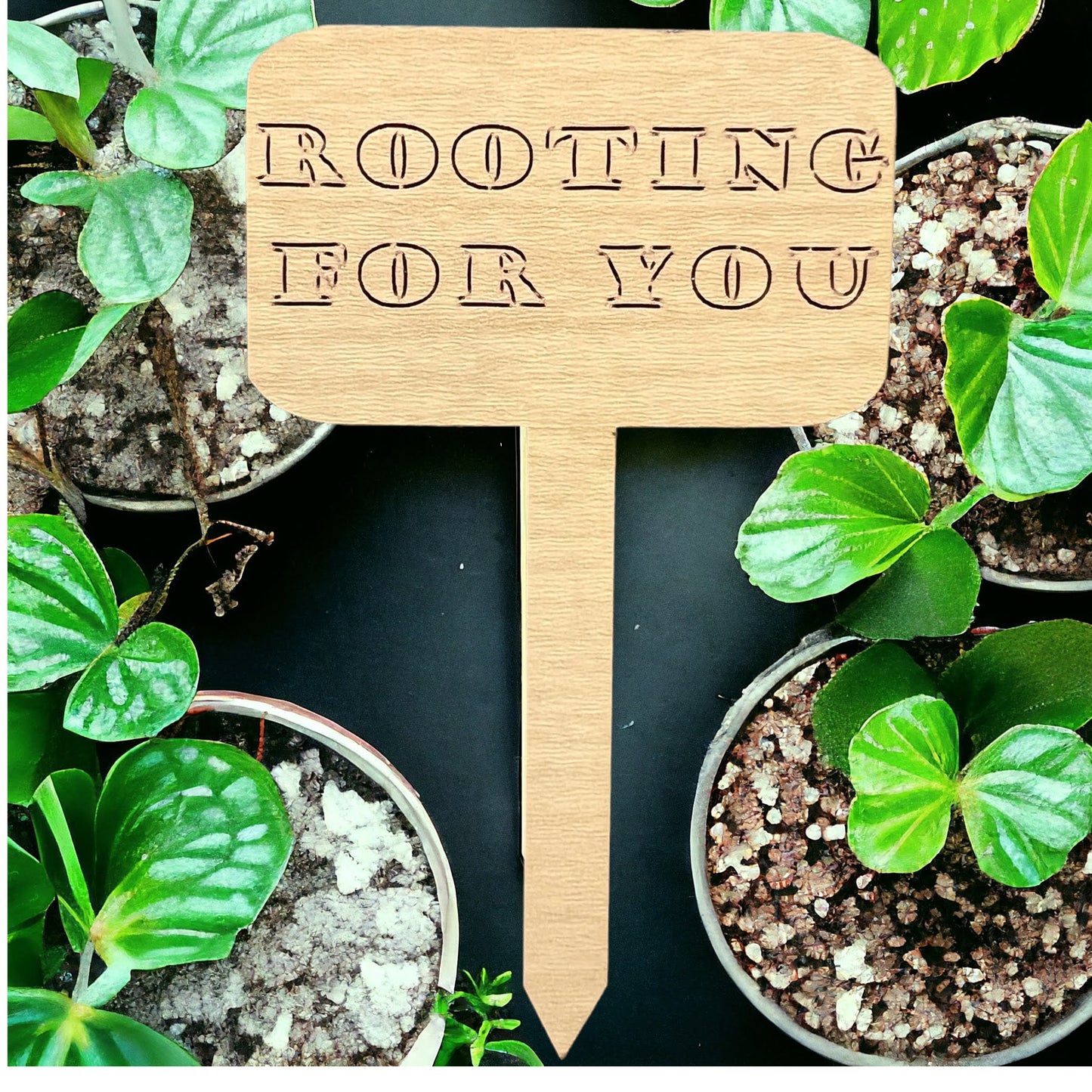 Plant Sticks