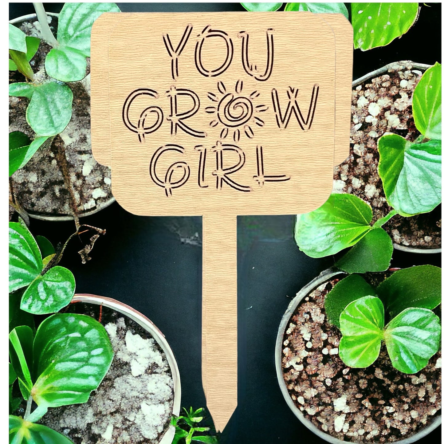 Plant Sticks